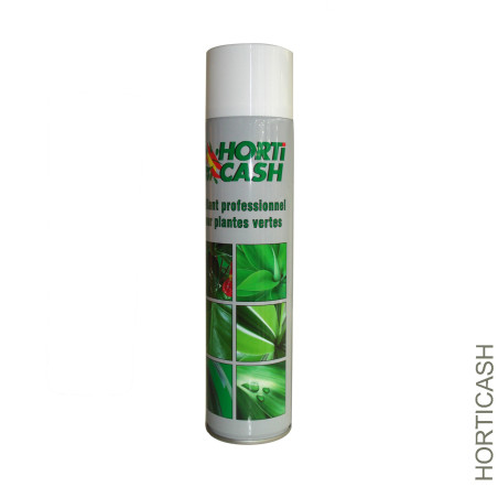Bombe brillant pour feuillage 600ml - Grossiste soin des fleurs et plantes