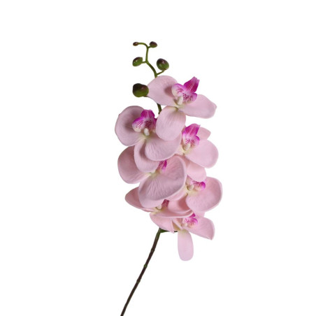 Phalaeno 7 fleurs 90cm 2 couleurs - Grossiste fleurs artificielles