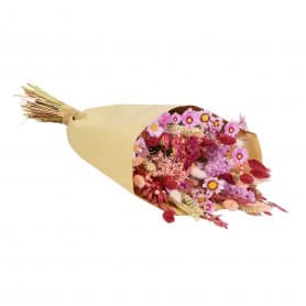 Bouquet de fleurs séchées - Embrasse - Grossiste végétaux