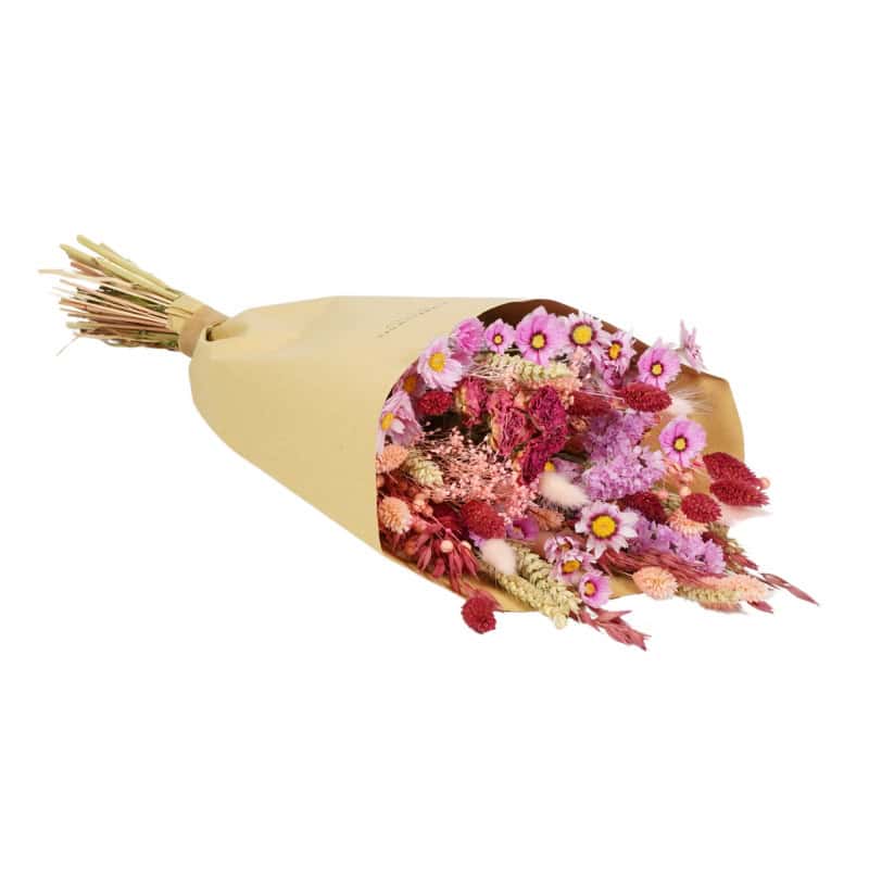 Bouquet de fleurs séchées - Embrasse - Grossiste végétaux Bouquet de fleurs séchées - Embrasse - Grossiste végétaux