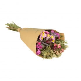 Bouquet de fleurs séchées rose - Pink - Grossiste végétaux