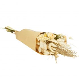 Bouquet de fleurs séchées blanc - Exclusive - Grossiste végétaux