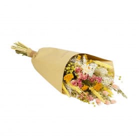 Bouquet de fleurs séchées rose/jaune - Limonade - Grossiste végétaux