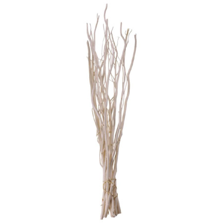 Paquet de 10 branches de Salix plusieurs couleurs