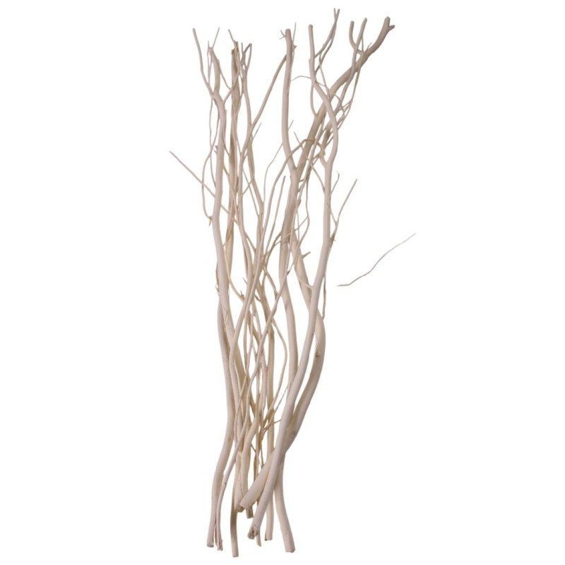 Paquet de 10 branches de Salix plusieurs couleurs