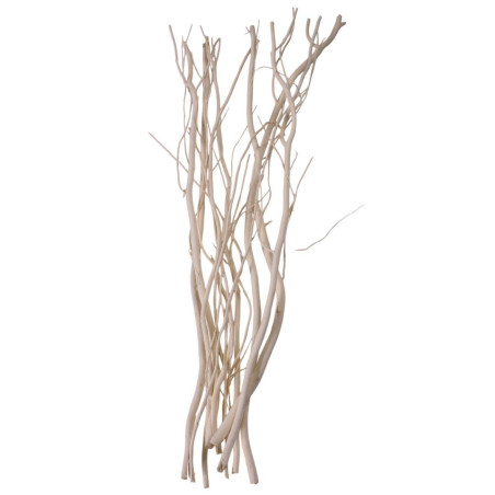 Paquet de 10 branches de Salix plusieurs couleurs
