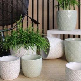 Cache-pot conique D. 12cm (assortiment 6 modèles) - Equateur - Grossiste contenants fleuristes