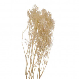 Bouquet de 5 branches de gypsophile 2 couleurs - Fleuriste grossiste fleurs séchées