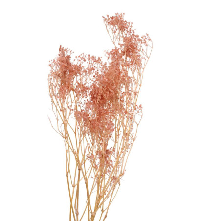 Bouquet de 5 branches de gypsophile 2 couleurs - Fleuriste grossiste fleurs séchées