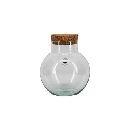 Bocal en verre avec bouchon de liège - Bogatell - Grossiste terrarium