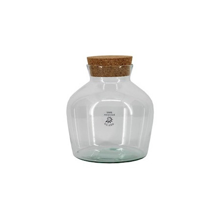 Bocal en verre avec bouchon liège - Arenas - Grossiste terrarium
