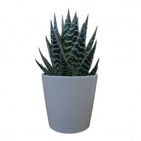 Cache pot de fleur céramique gris Stockholm