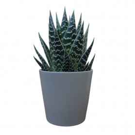 Cache pot de fleur céramique gris Stockholm