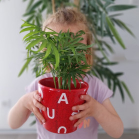 Cache-pot conique en céramique - Fleuriste professionnel grossiste