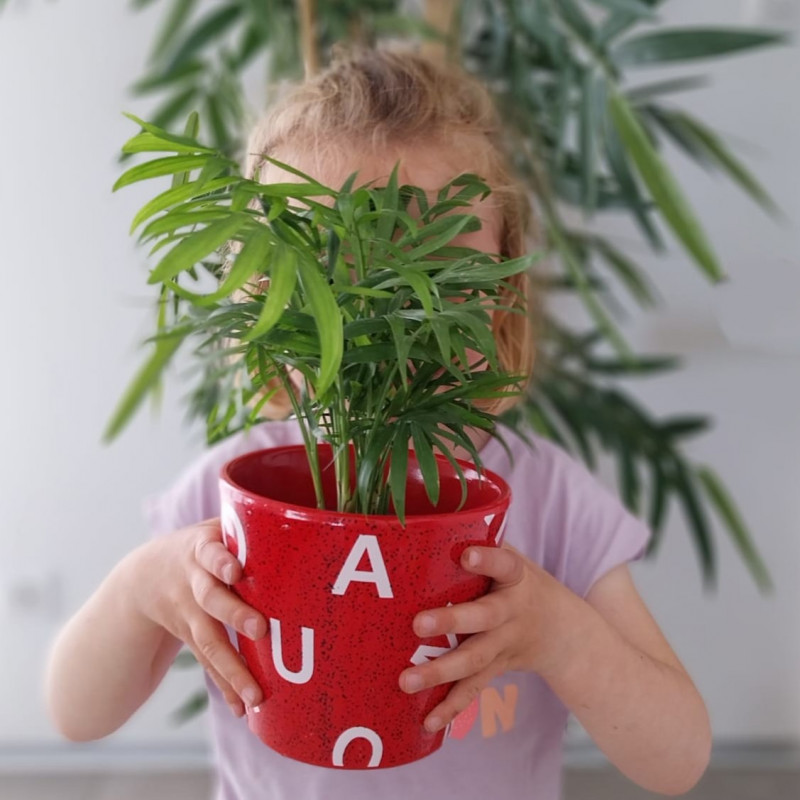 Cache-pot conique en céramique - Fleuriste professionnel grossiste Cache-pot conique en céramique - Fleuriste professionnel grossiste