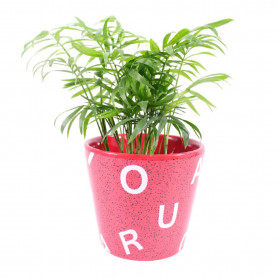 Cache-pot conique en céramique - Fleuriste professionnel grossiste