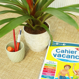 Cache-pot conique D. 8cm (assortiment 6 modèles) - Equateur - Grossiste contenants fleuristes