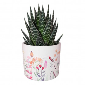 Cache-pot cylindre fleuri 2 tailles - Erublé - Fournisseur contenants fleuristes