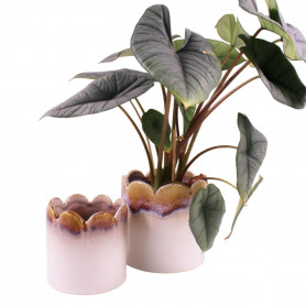 Cache-pot en céramique 2 tailles - Boréale - Grossiste contenants plantes
