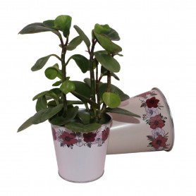 Cache-pot crème en zinc 2 tailles - Frise florale - Fournisseur contenants automne