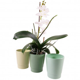Pots phalaeno Alessos - grossiste fleuriste - Cache-pot orchidée