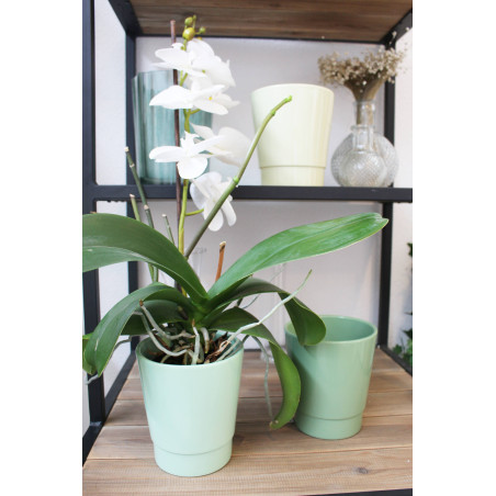 Cache-pot pour orchidée - Grossiste fleuriste - Fournisseur pot en céramique