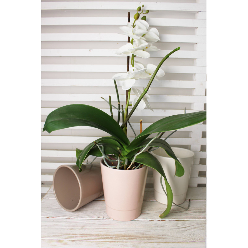 Cache-pot pour orchidée - Grossiste fleuriste - Fournisseur pot en céramique