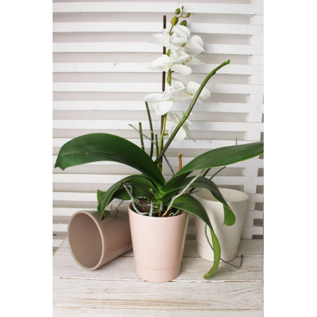 Cache-pot pour orchidée - Grossiste fleuriste - Fournisseur pot en céramique