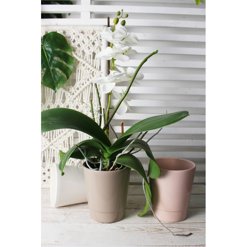 Cache-pot pour orchidée - Grossiste fleuriste - Fournisseur pot en céramique