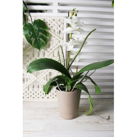 Cache-pot pour orchidée - Grossiste fleuriste - Fournisseur pot en céramique