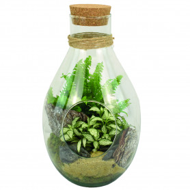 Bouteille déco en verre avec bouchon de liège - Garden - Fournisseur terrarium