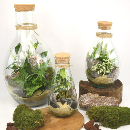 Bouteille déco en verre avec bouchon de liège - Lina - Fournisseur terrarium