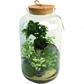 Bouteille en verre avec bouchon de liège - Sven - Fournisseur terrarium