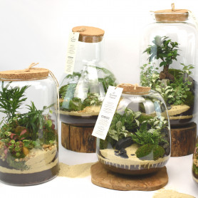 Bouteille en verre avec bouchon de liège - Sven - Fournisseur terrarium