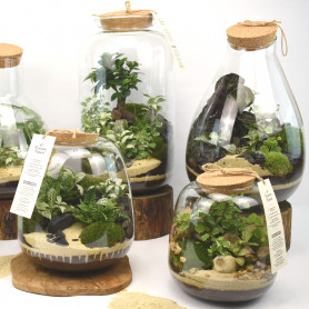 Vase en verre avec bouchon de liège - Drop - Grossiste terrarium