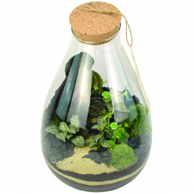 Vase en verre avec bouchon de liège - Drop - Grossiste terrarium