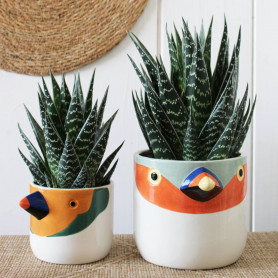 Cache-pot perroquet - Thais - Grossiste pour fleuristes