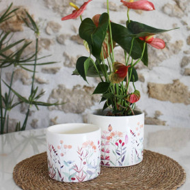 Cache-pot cylindre fleuri 2 tailles - Erublé - Fournisseur contenants fleuristes