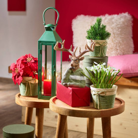 Paquet de 4 cache-pots en plastique + jute vert - Grossiste fleuristes