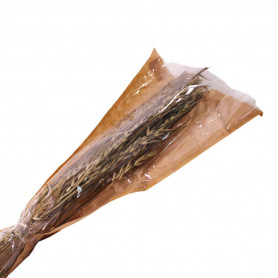 Haver naturel 60 70cm - Grossiste fleuriste