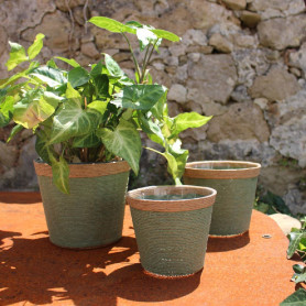 Cache-pot vannerie vert en osier - Grossiste fleuriste et jardinerie