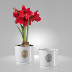 Cache-pot en céramique - déco Noël - Grossiste fleuriste