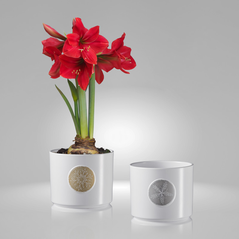 Cache-pot en céramique - déco Noël - Grossiste fleuriste