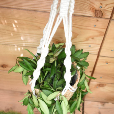 Macrame tissu H. 90cm vannerie grossiste décoration fleuriste