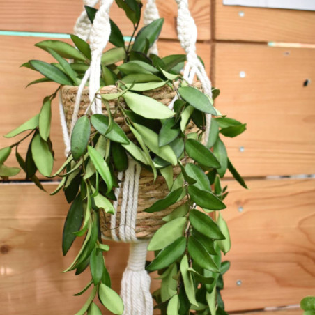 Macrame tissu H. 90cm vannerie grossiste décoration fleuriste