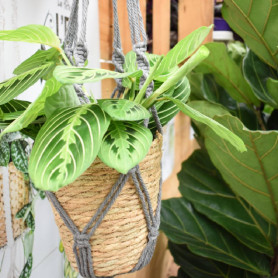 Macrame tissu H. 90cm vannerie grossiste décoration fleuriste