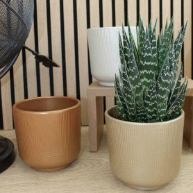 Cache-pot à motif - assortiment de couleurs - Grossiste en fleuristerie et jardinerie