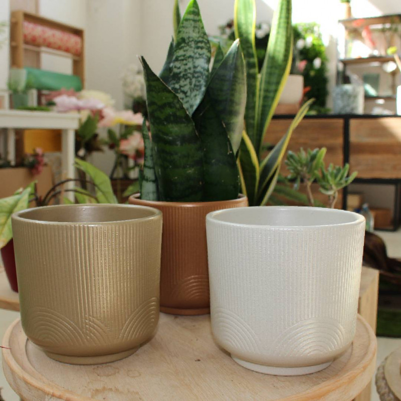 Cache-pot à motif - assortiment de couleurs - Grossiste en fleuristerie et jardinerie