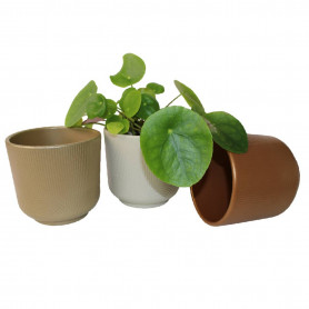 Cache-pot à motif - assortiment de couleurs - Grossiste en fleuristerie et jardinerie