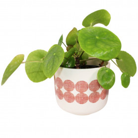 Cache-pot en céramique à motifs colorés - Grossiste fleuristes jardineries